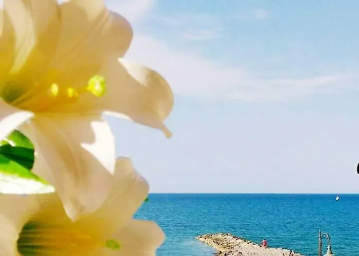 Hotel sulla spiaggia: Al Giglio - Bed&Breakfast