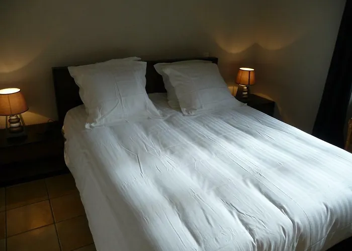 Hôtel accueillant les animaux: Appartement Dans Le Cloitre Saint Salvy A Albi.