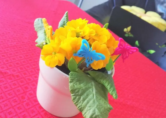 Mariposa