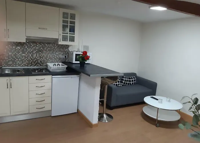 Hotel que admite mascotas: Apartamento Plaza Mayor