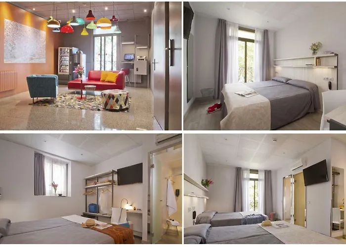 Hôtel accueillant les animaux: Hostal Benidorm