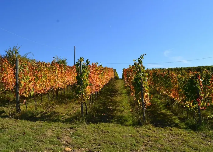 Hotel sulla spiaggia: Agriturismo Costa Dei Platani