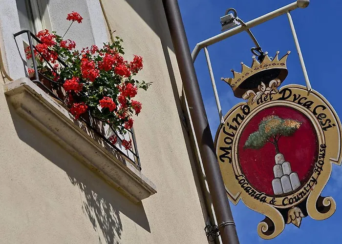 La villa: Molino Del Duca Cesi