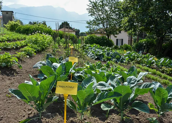 La villa: Agriturismo Il Colle