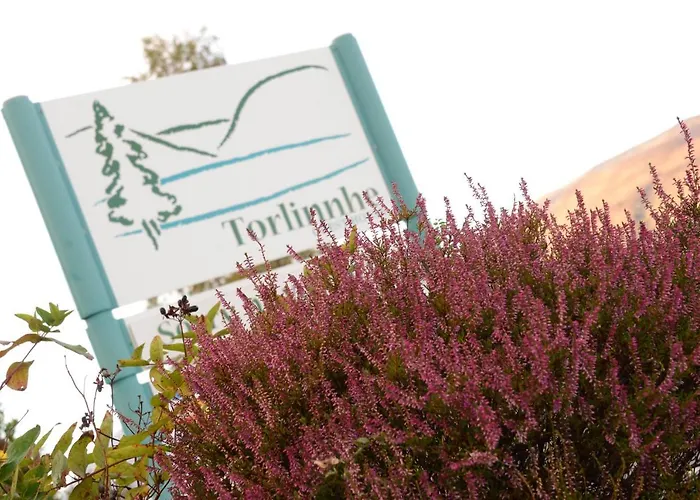 Guest house: Torlinnhe