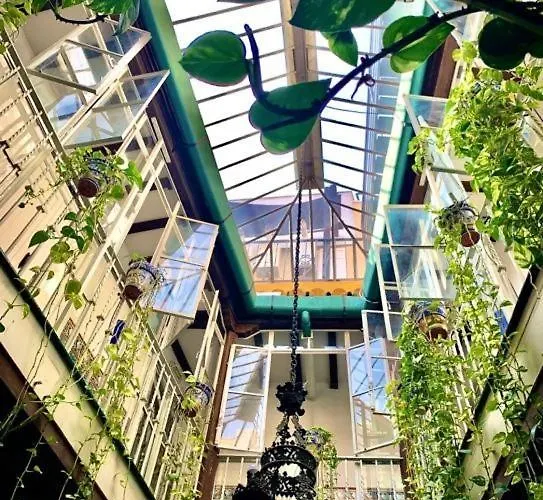 Casa degli ospiti: Hostal Lis