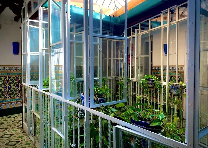 Casa degli ospiti: Hostal Lis