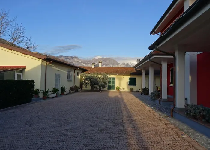 Merlo D'Oro
