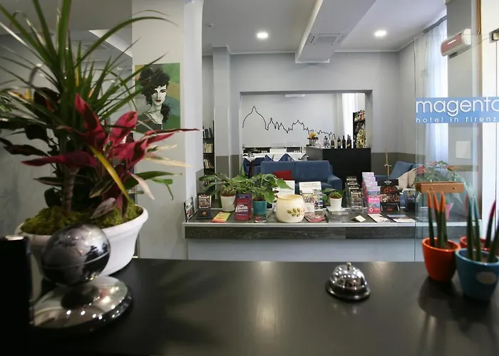 Cheap hotel: Hotel Magenta